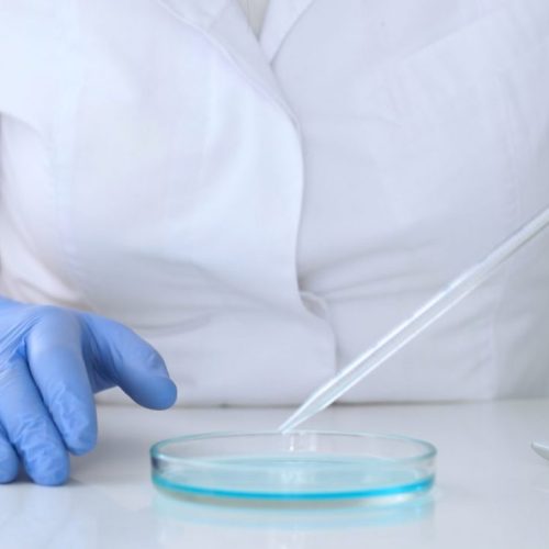 Recherche en imagerie moléculaire