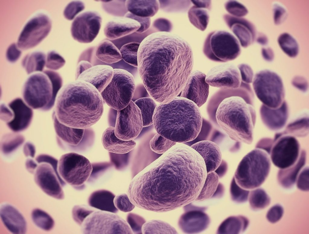 Cellules symboles de l'immunothérapie