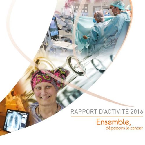 Rapport d'activité 2016