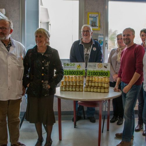 Don association SAGE