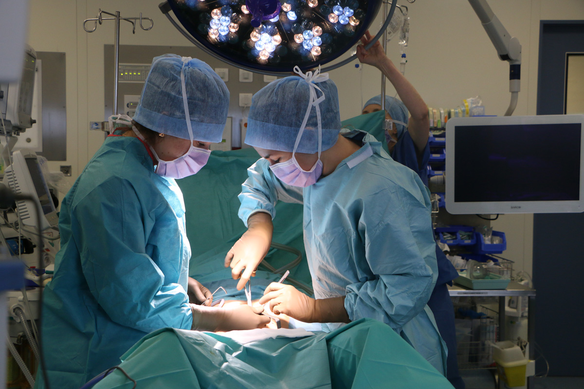 chirurgie